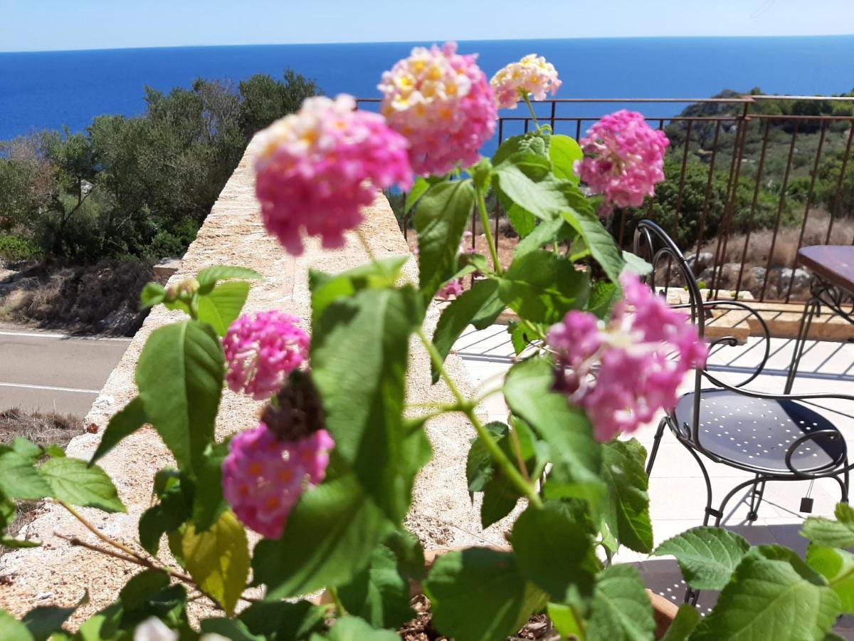 Santa Maria di Leuca Villetta Cipolliane מראה חיצוני תמונה